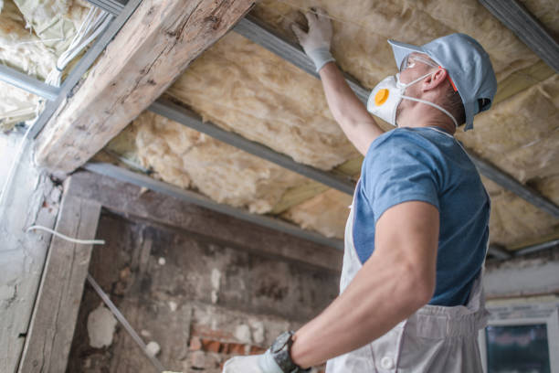 Best Eco-Friendly Insulation in Point Venture, TX