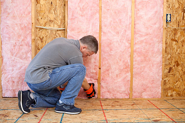 Best Residential Insulation in Point Venture, TX