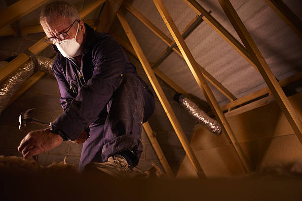 Best Spray Foam Insulation in Point Venture, TX